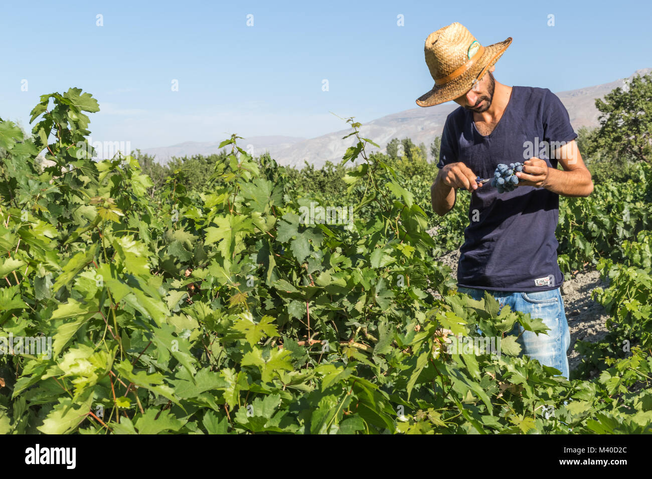 Uzumlu erzincan hires stock photography and images Alamy