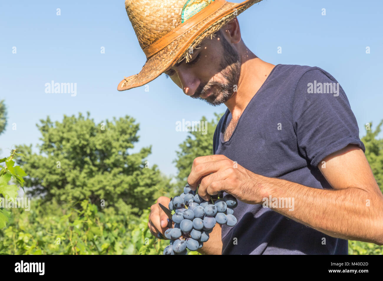 Uzumlu erzincan hires stock photography and images Alamy