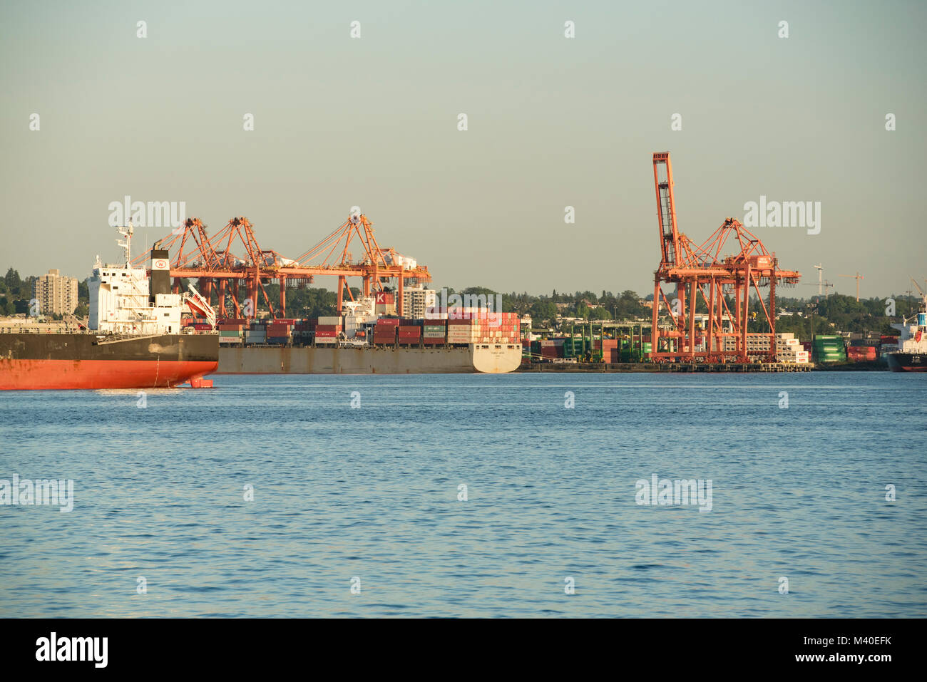Forex cargo vancouver bc