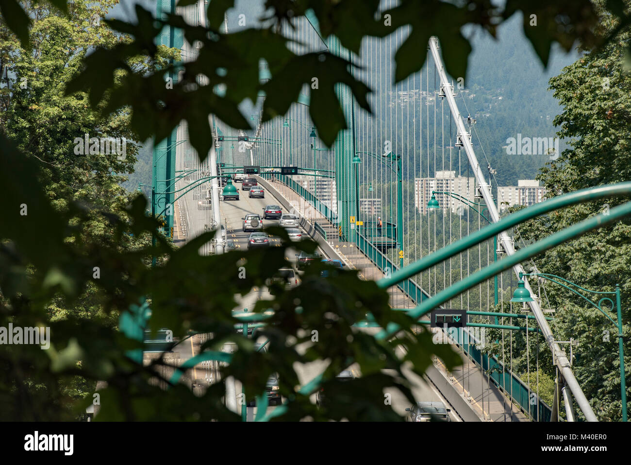 Vancouver, British Columbia, Canada.  Looking through trees at Lions Gate Bridge at north end of Stanley Park, North Vancouver in background. Stock Photo