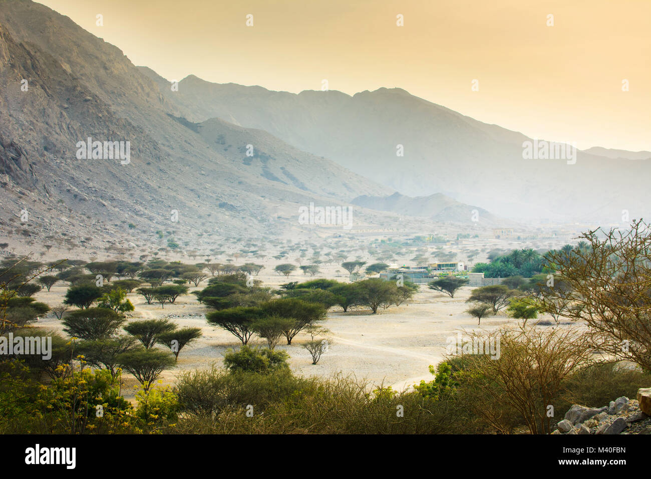 Jabal Jais mountain and desert landscape near Ras al Khaimah, UAE Stock Photo