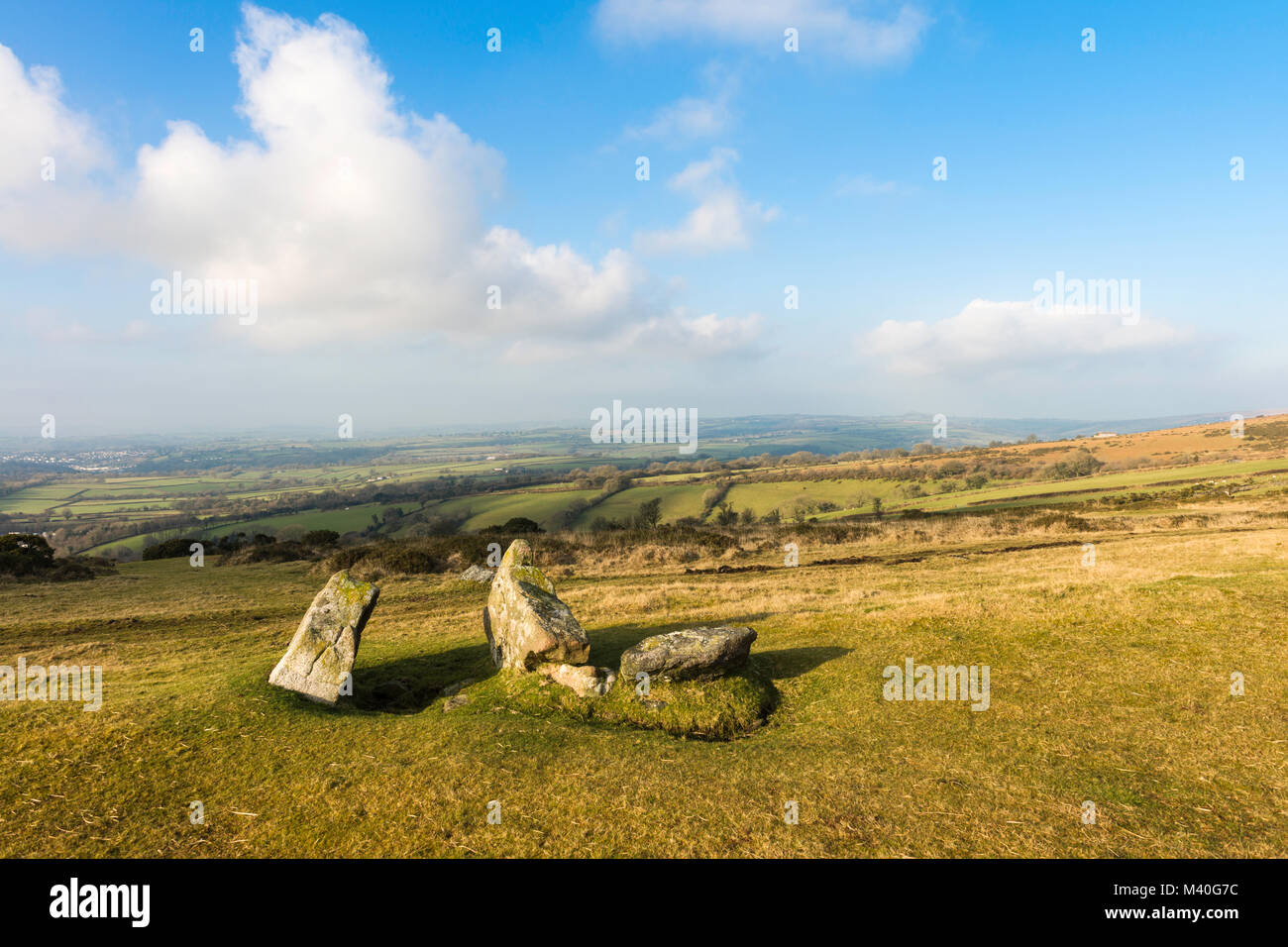 View west over Tavistock, seen from Whitchurch Down, Dartmoor National