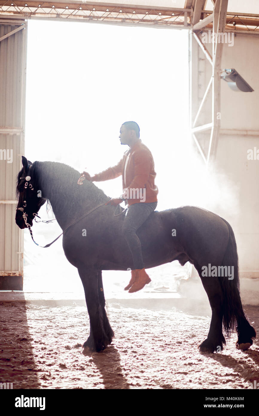 man riding brown horse on countryside Stock Photo - Alamy