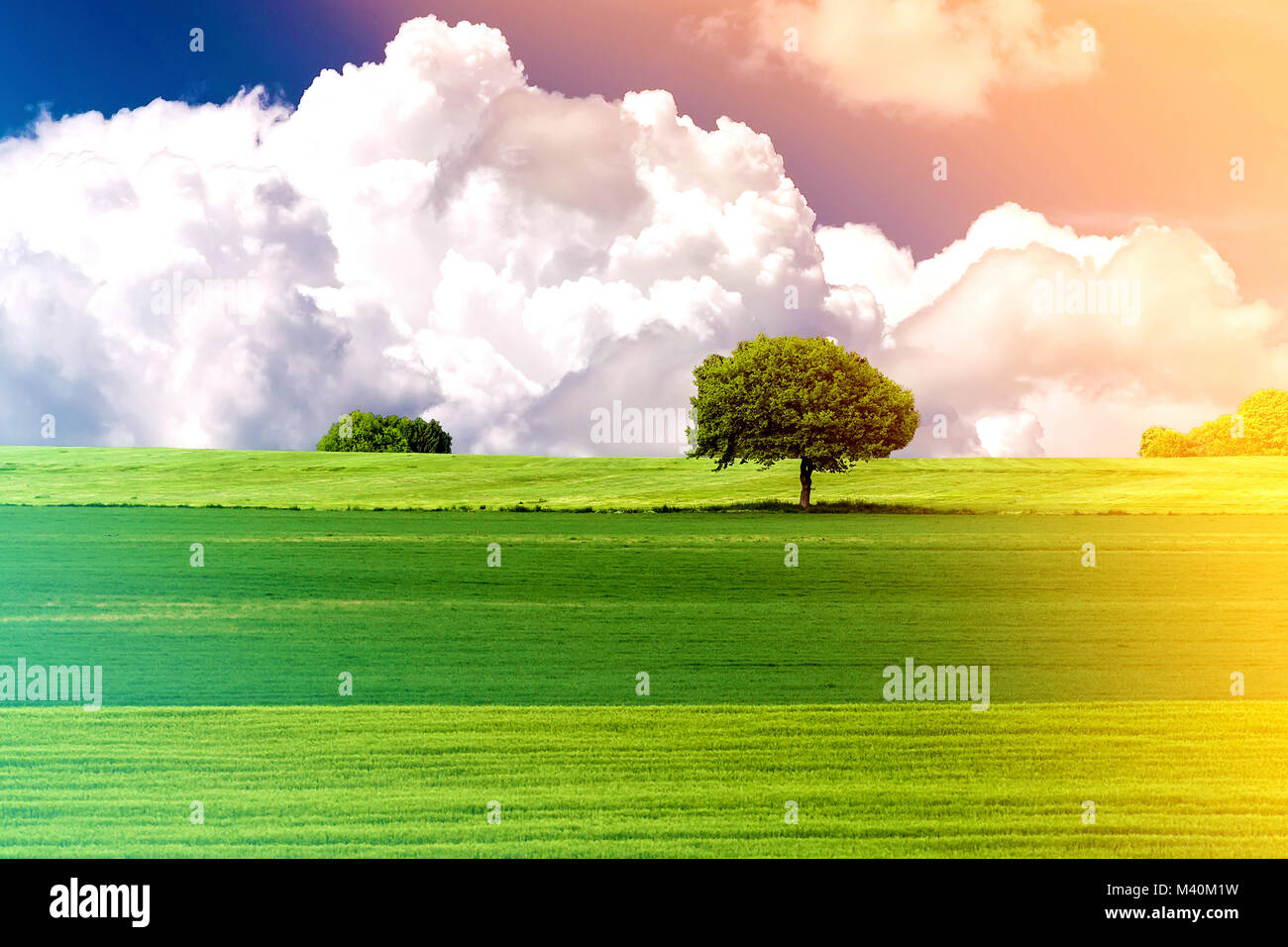 Green field and tree with blue sky and clouds Stock Photo - Alamy