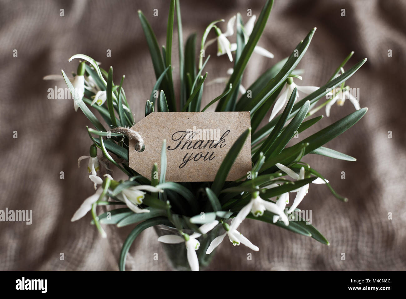 bouquet of spring anemones with a 'thank you' card Stock Photo