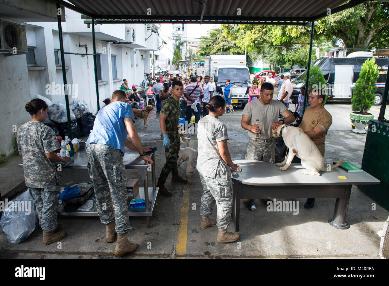 Army veterinarians hi-res stock photography and images - Alamy