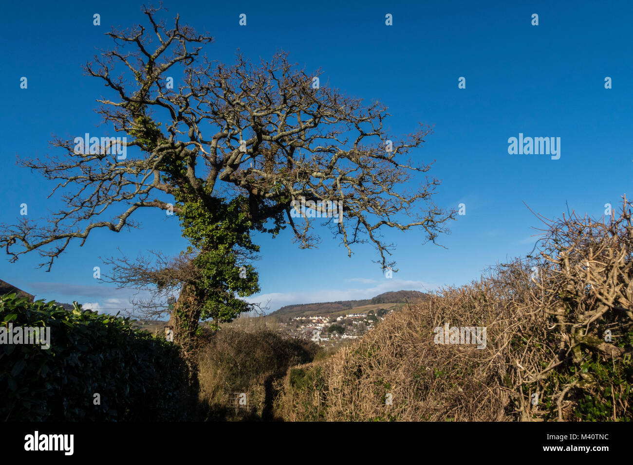 Milltown hires stock photography and images Alamy