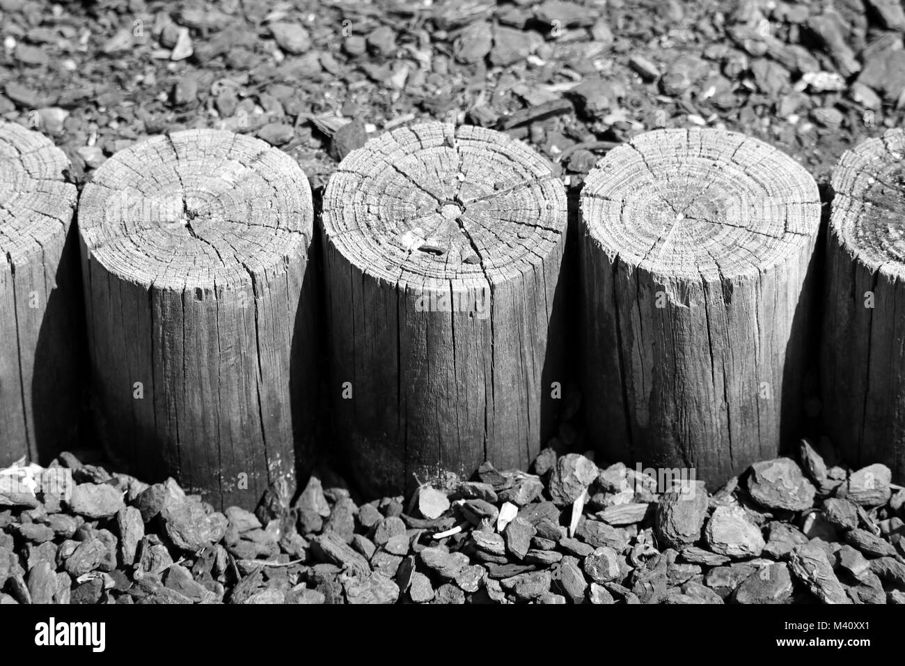 Wooden post B&W Stock Photo Alamy