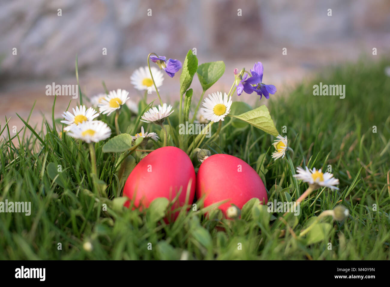 Close up of two red Easter eggs among flowers Stock Photo