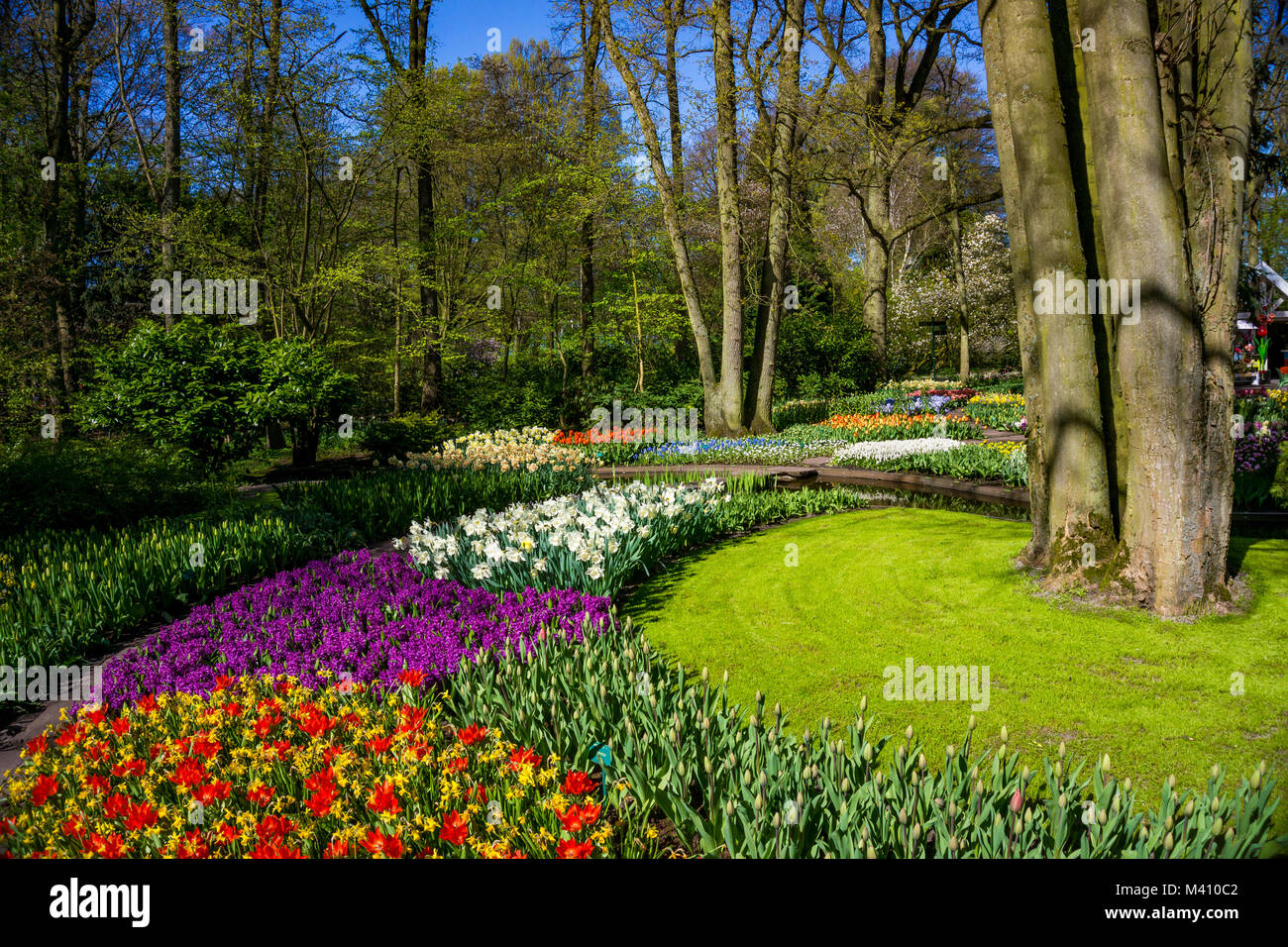 Keukenhof park in Netherlands Stock Photo - Alamy