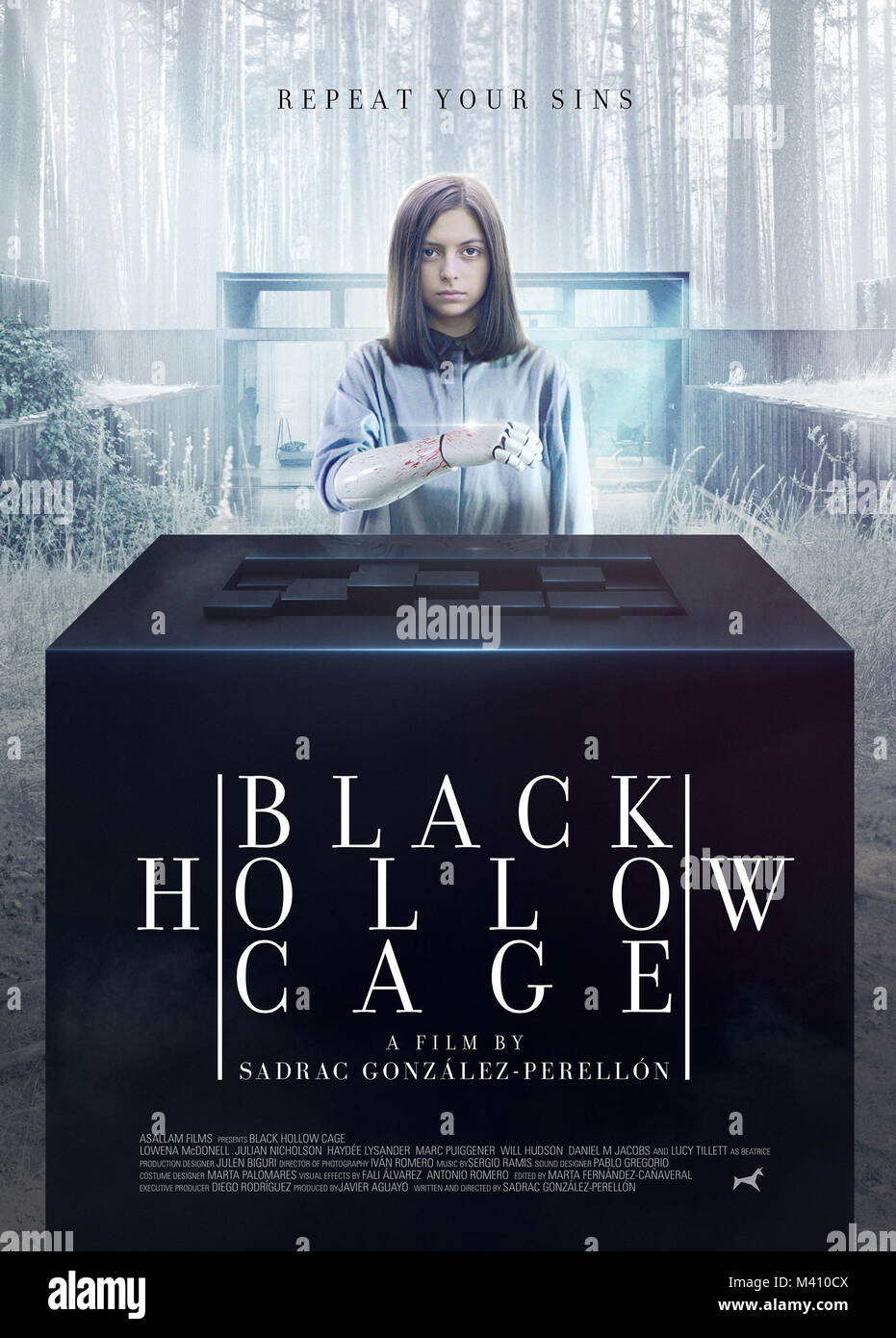 BLACK HOLLOW CAGE, Spanish poster in English, Lowena McDonell, 2017