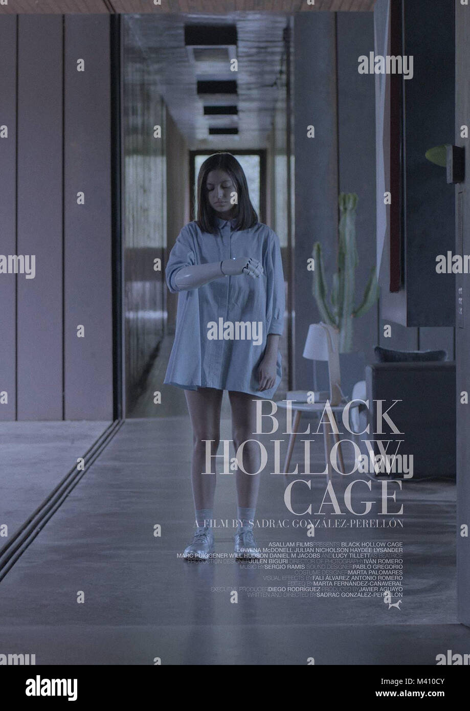 BLACK HOLLOW CAGE, Spanish poster in English, Lowena McDonell, 2017
