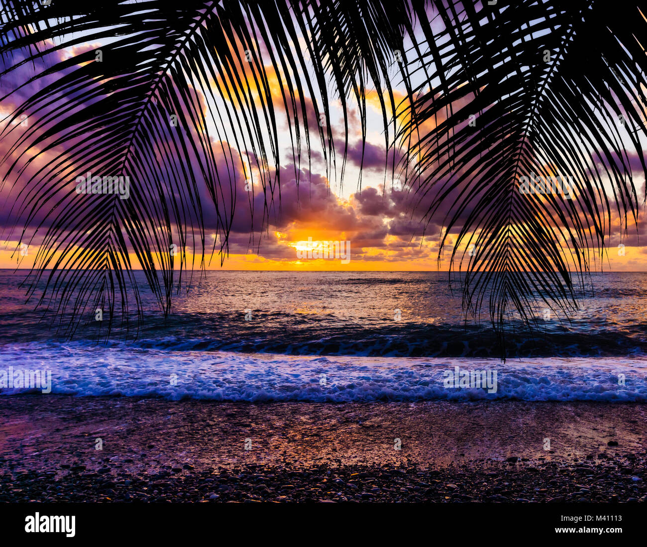 palm trees silhouette on sunset tropical beach Stock Photo - Alamy