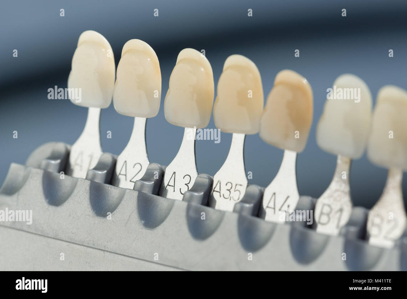 shade guide to check veneer of tooth crown in a dental laboratory Stock Photo