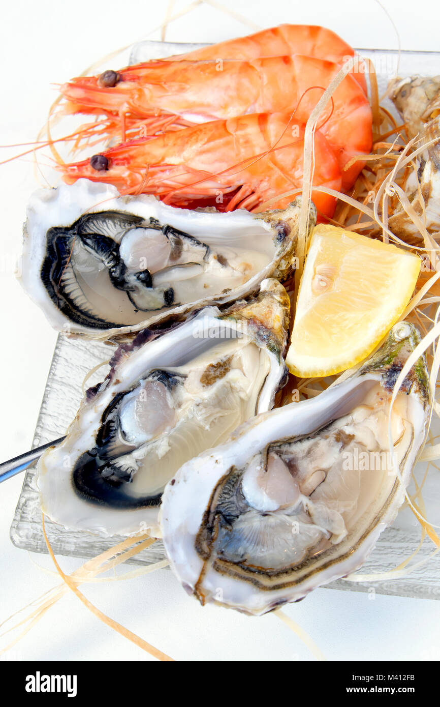 Oysters and prawns with lemon wedge, Le Bocal Restaurant, Reims, Grand Est, France Stock Photo