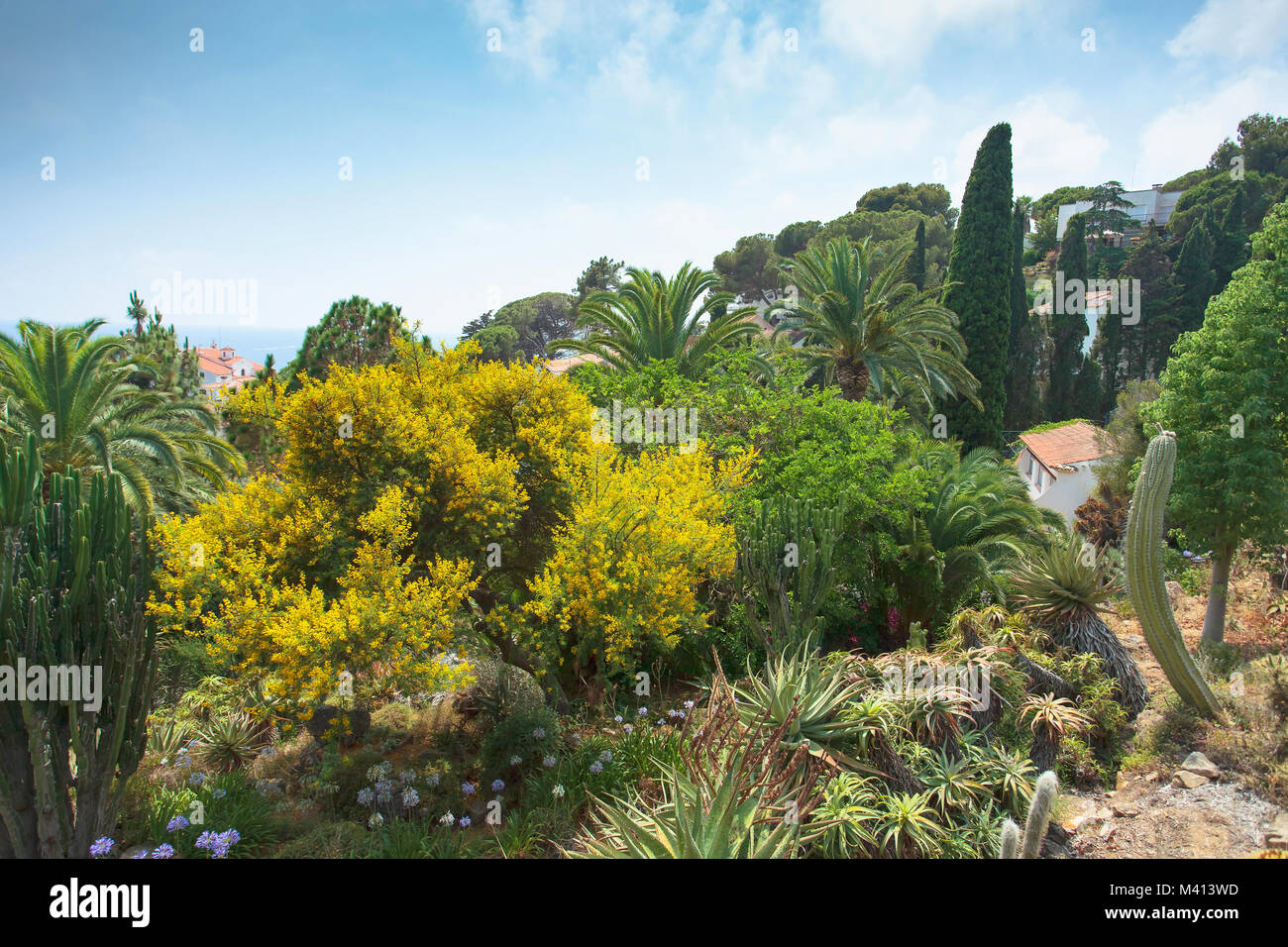 Marimurtra Botanical Garden Hi res Stock Photography And Images Alamy Marimurtra Botanical Garden Hi res Stock Photography And Images Alamy