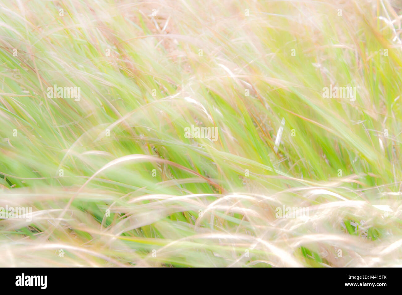 Bright Nature Background Stock Photo Alamy