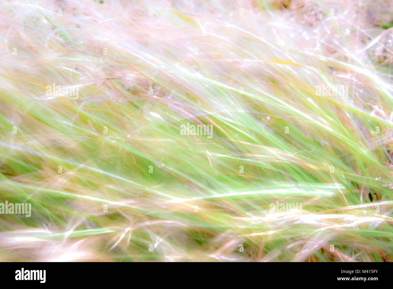 Bright Nature Background Stock Photo Alamy