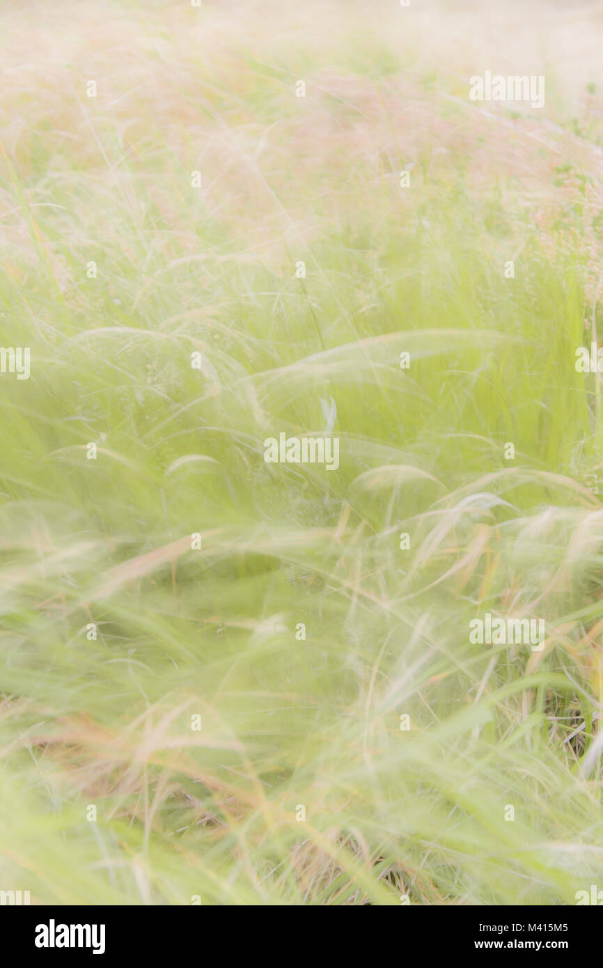 Bright Nature Background Stock Photo Alamy