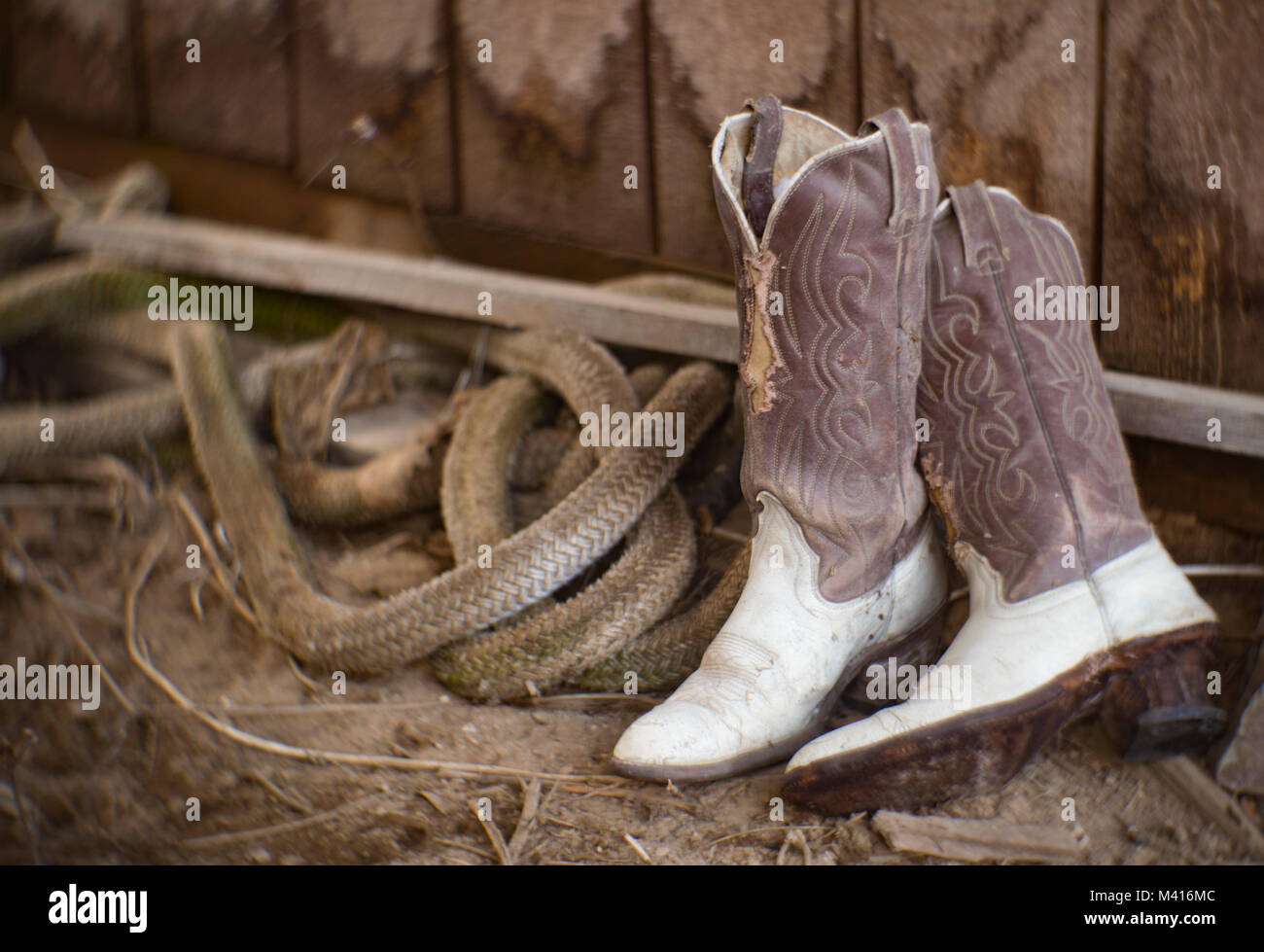 western barn boots