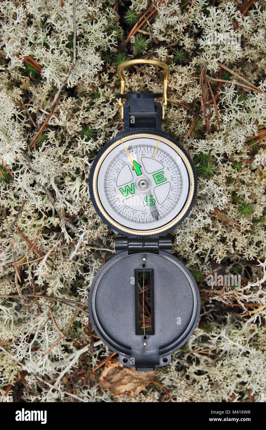 Magnetic compass lying on the moss. Use in the field in the forest Stock Photo