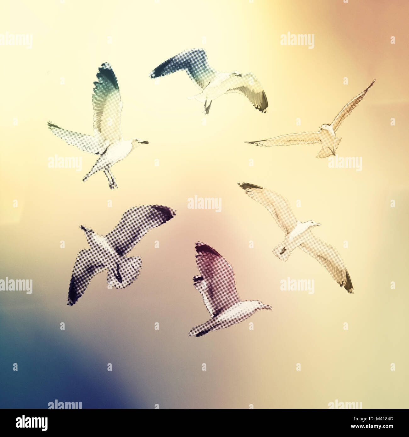 Illustration from flying seagulls in a circle on an abstract background Stock Photo