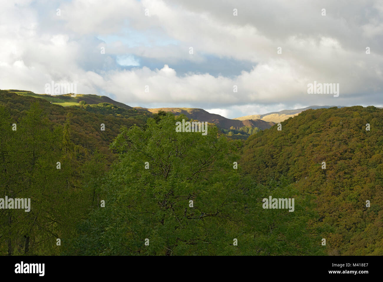 View from the Hafod Hotel towards Bryn Bras above the Rheidol Gorge Stock Photo