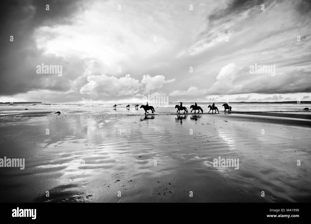 horse riding on a beach at low tide with a dramatic sky. In black and white Stock Photo