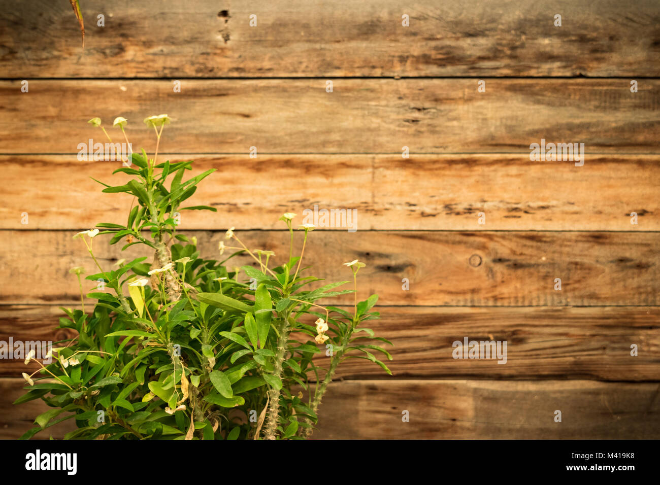 78+ Gambar Background Untuk Caption 78+ Gambar Background Untuk Caption