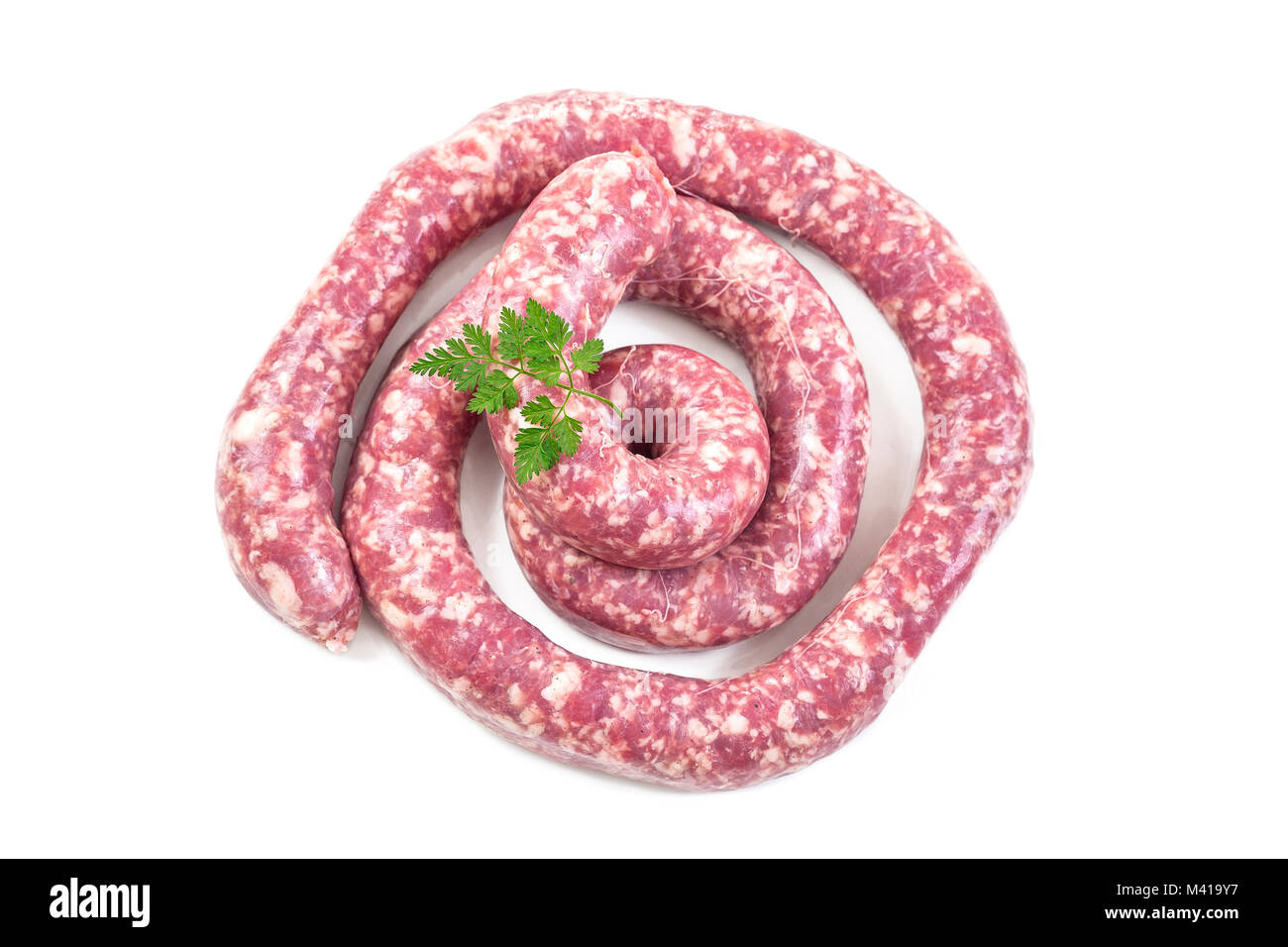 Toulouse sausage Raw 'saucisse de toulouse' in ring french meat specialty from Toulouse on white Stock Photo