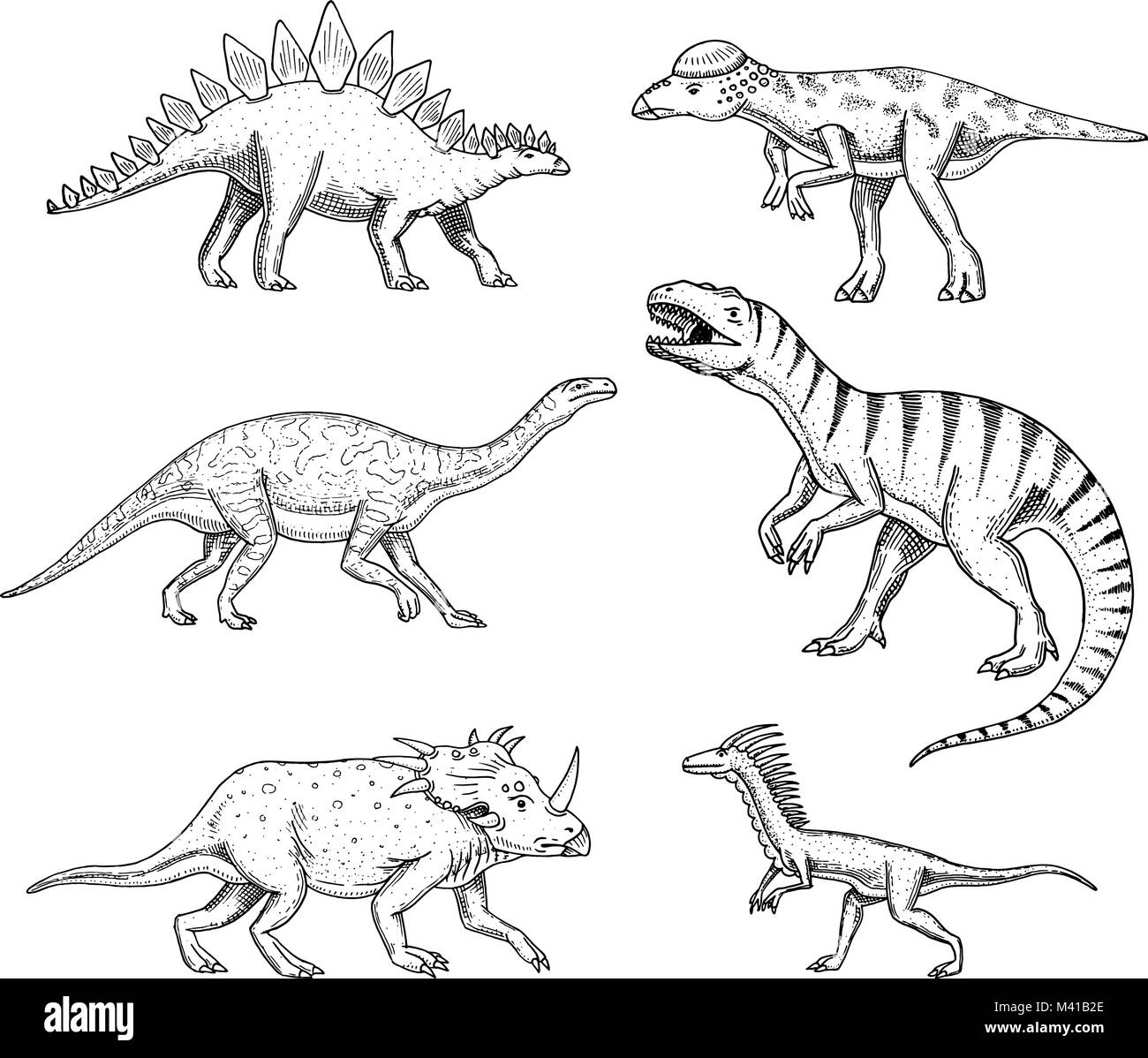 Dinosaurs set, Triceratops, Barosaurus, Tyrannosaurus rex,, Stegosaurus, Pachycephalosaurus, deinonychus, skeletons, fossils. Prehistoric reptiles, Animal Hand drawn vector. Stock Vector
