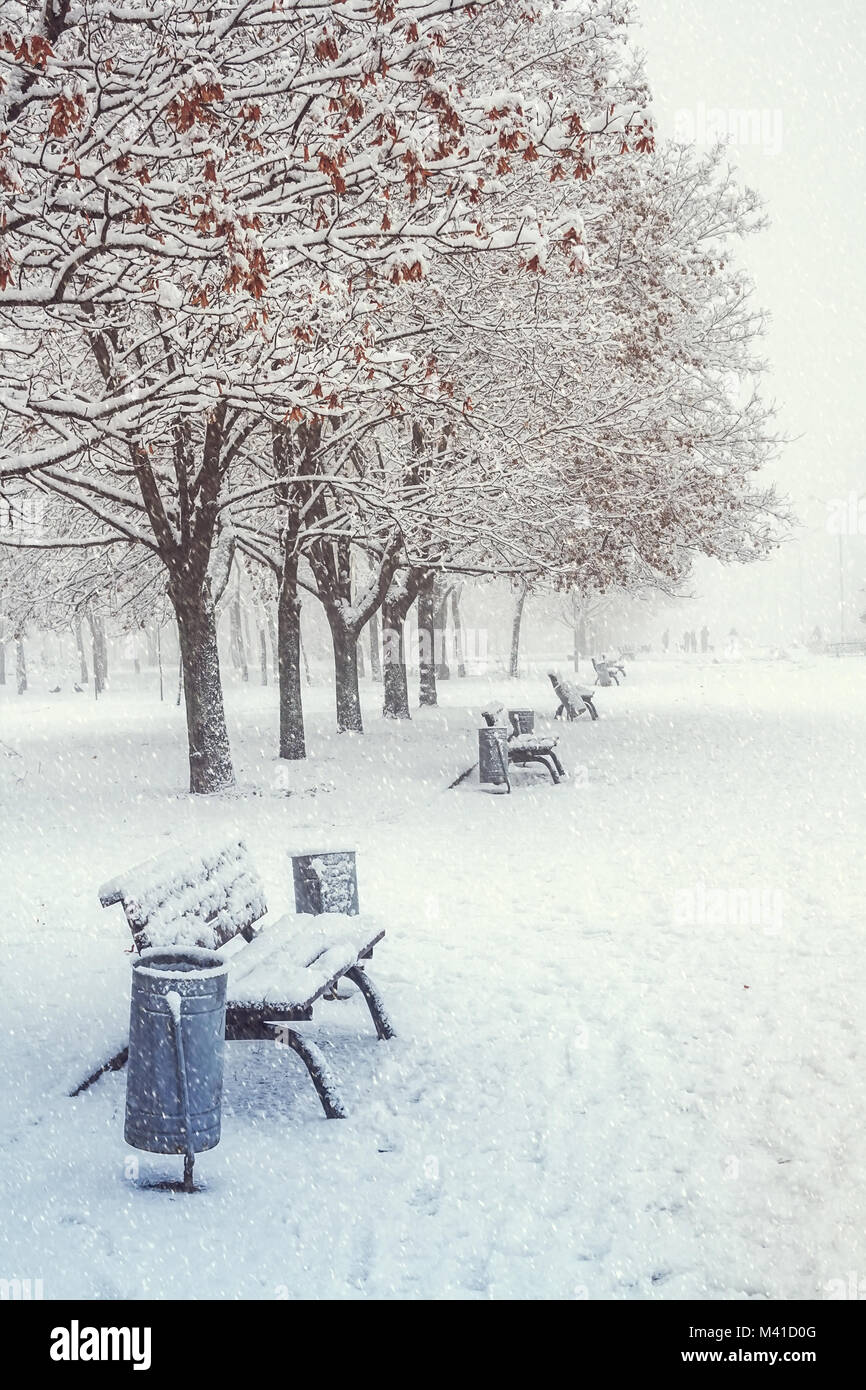Day winter landscape with benches in the alley of city park Stock Photo ...