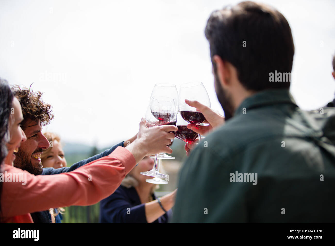 Friends clinking glasses Stock Photo