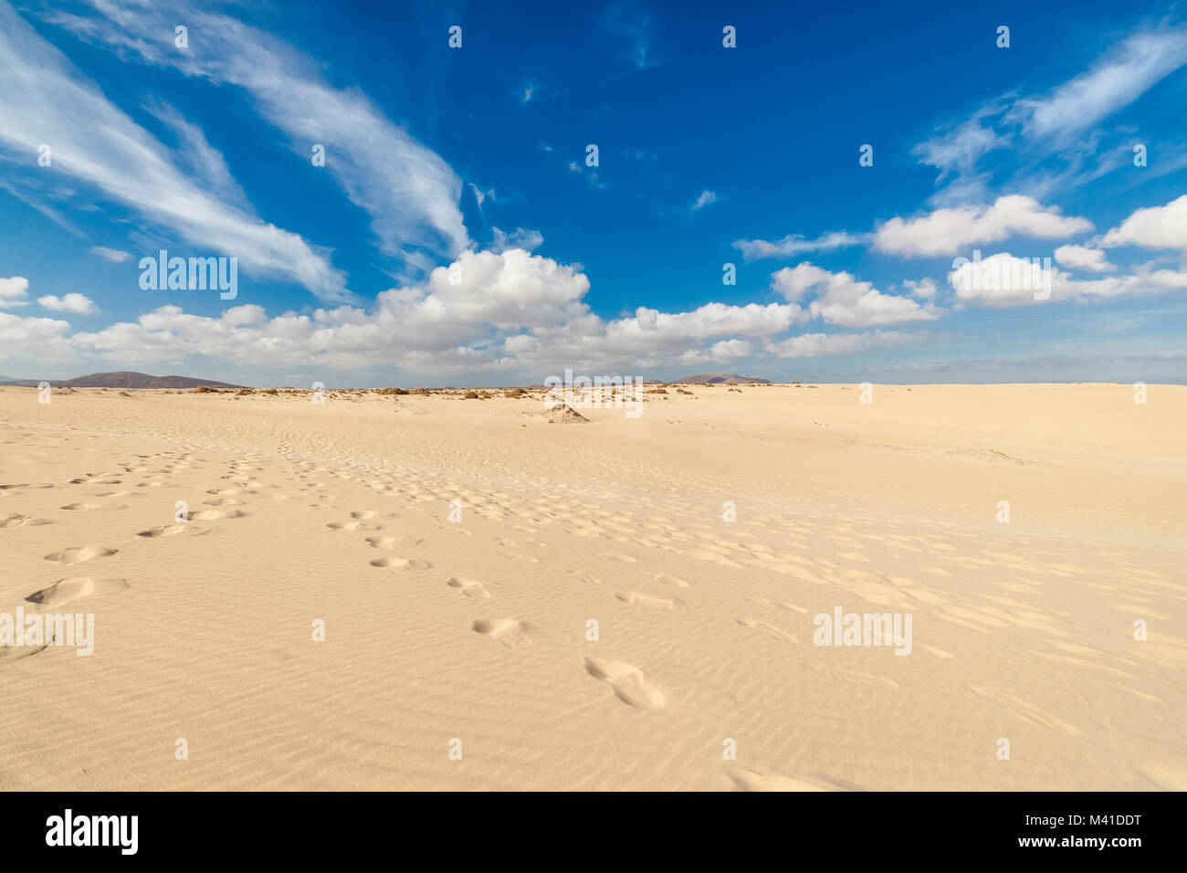 Corralejo dunes with volcanic mountains in the horizon. Corralejo, Fuerteventura, Spain. Stock Photo