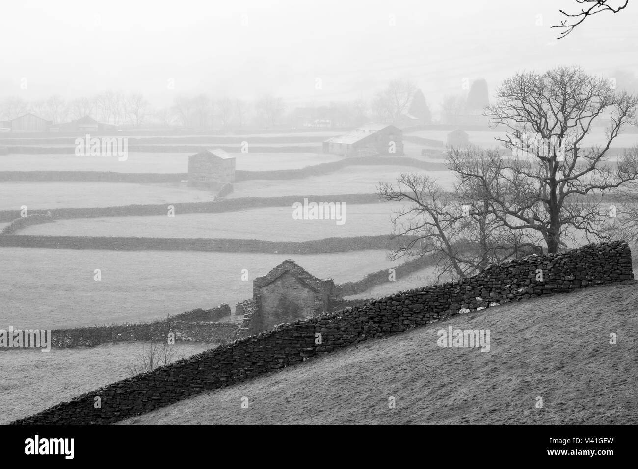 Gunnerside Bottoms, Winter Mist, Yorkshire Dales National Park Stock Photo
