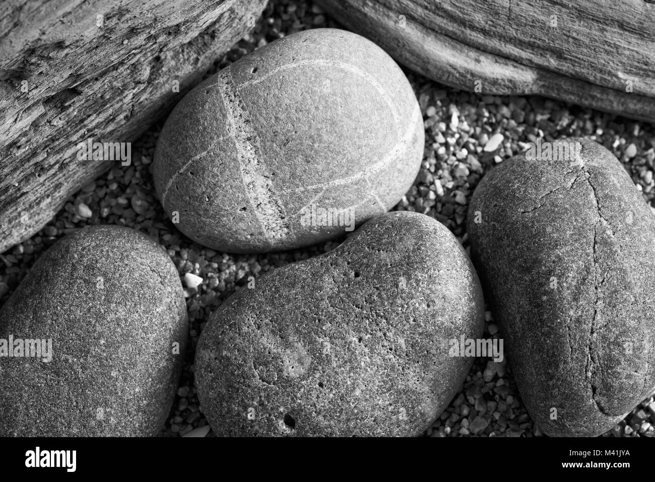 Still life of Beach objects taken in Black and White Stock Photo - Alamy