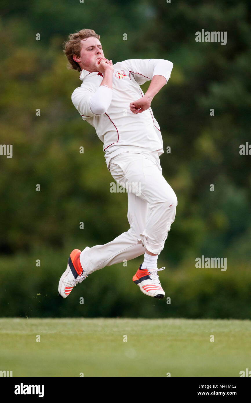Cricket, bowler in action Stock Photo - Alamy