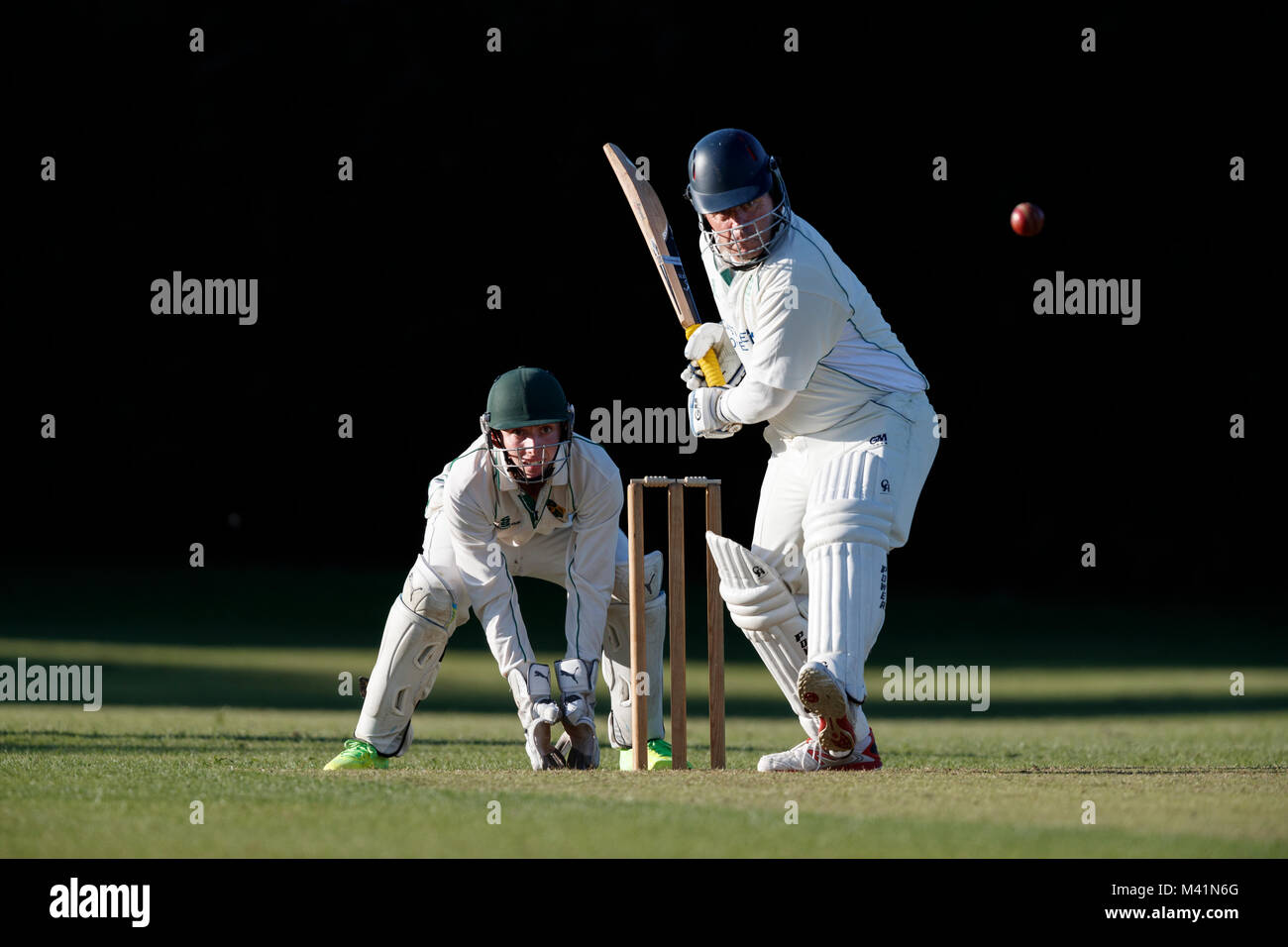 Cricket batsman in action Stock Photo Alamy