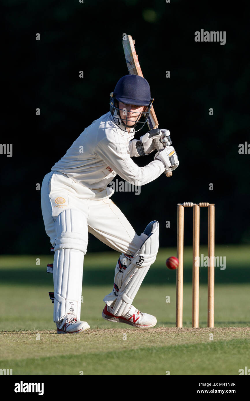 Cricket batsman in action Stock Photo Alamy