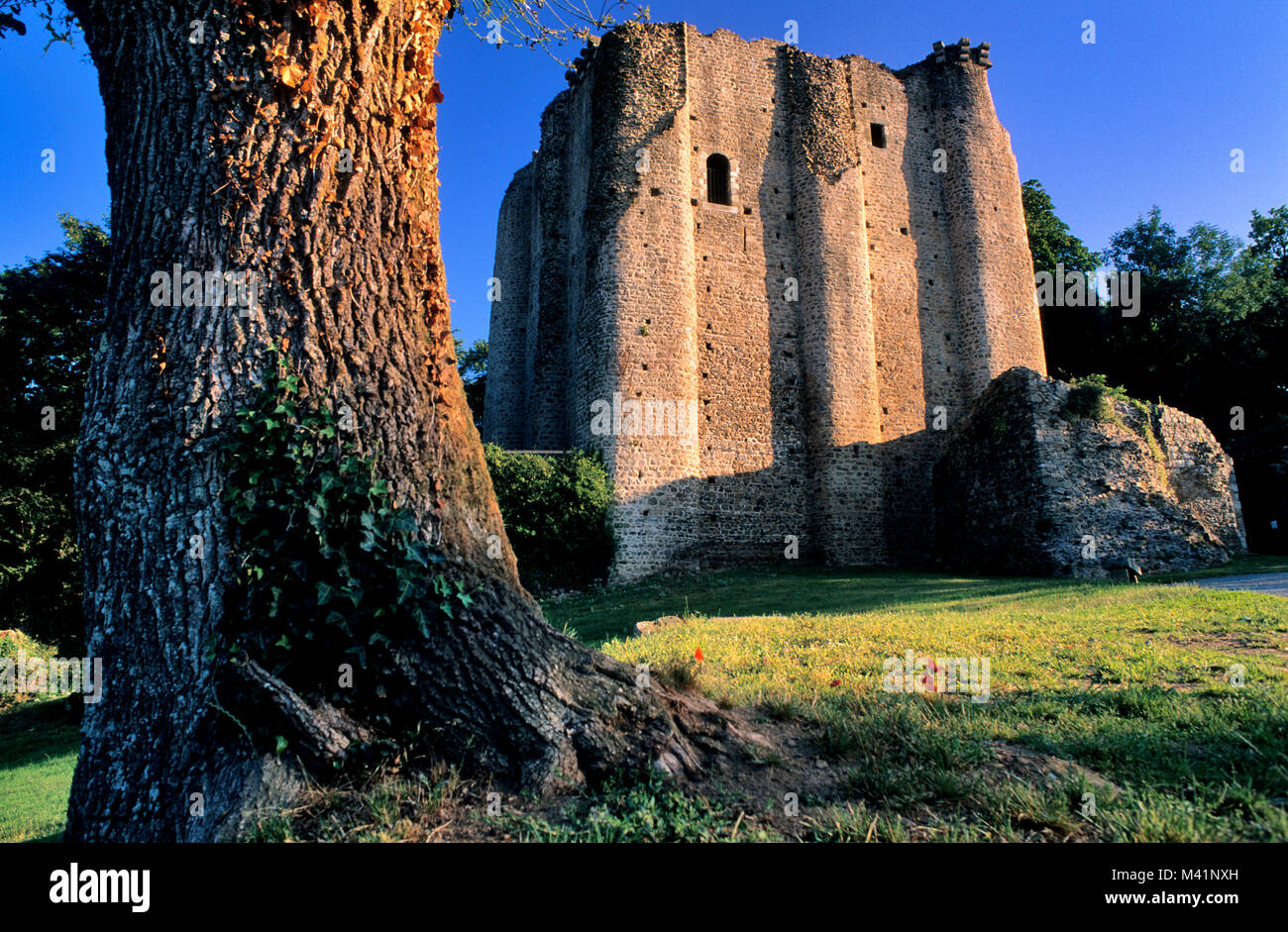France, Vendee, Pouzauges,12th century castle given to Gilles de Rais as his wife's dowry Stock Photo