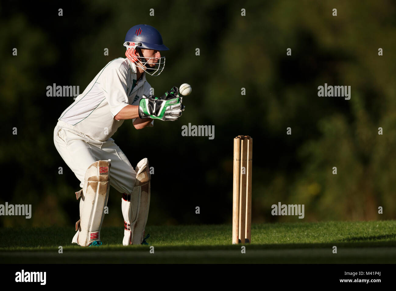 Wicket keeper hires stock photography and images Alamy