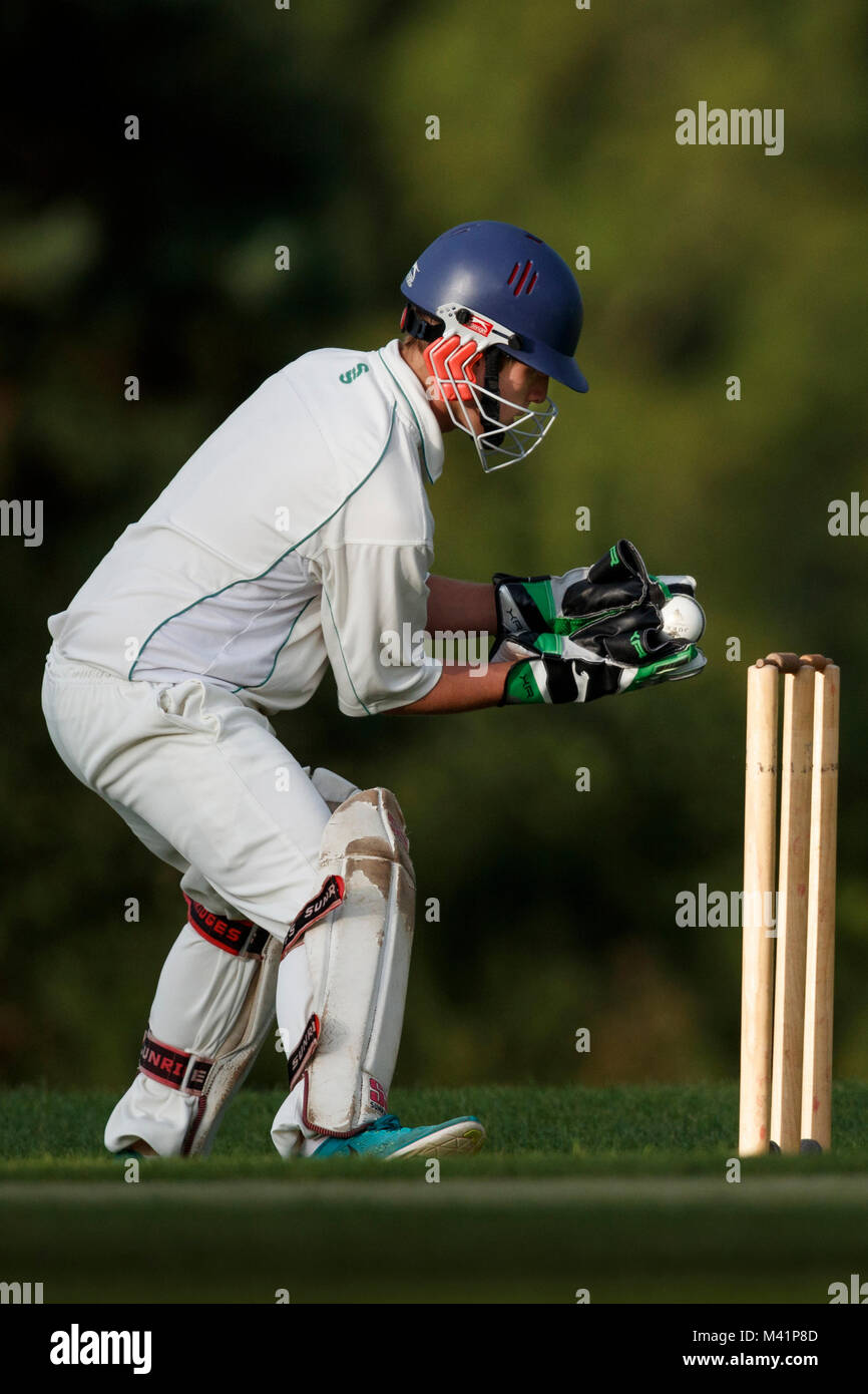 2+ Thousand Cricket Wicket Keeper Royalty-Free Images, Stock Photos &  Pictures