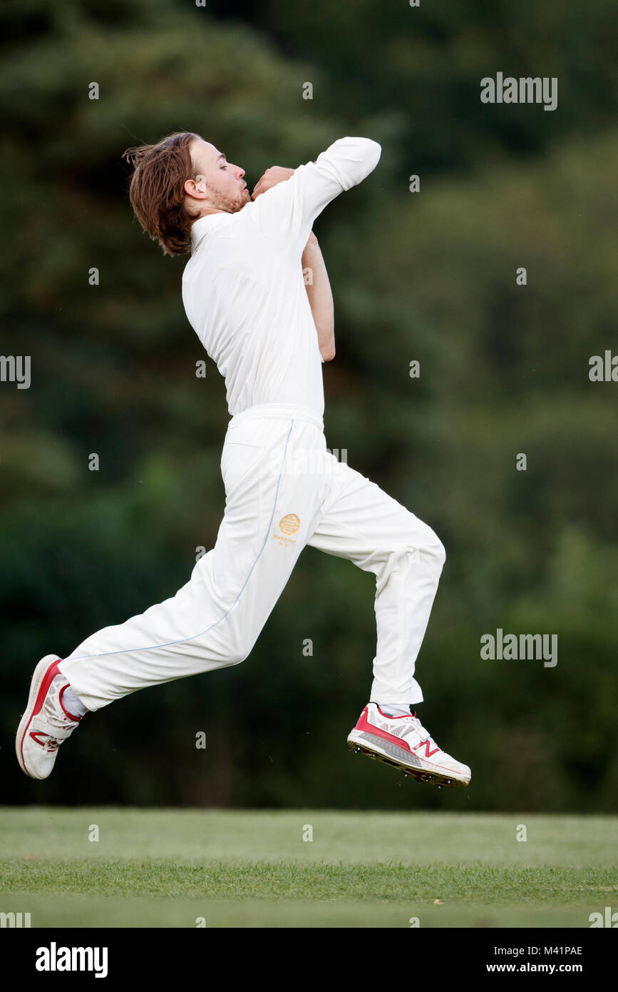 Cricket, bowler in action Stock Photo Alamy