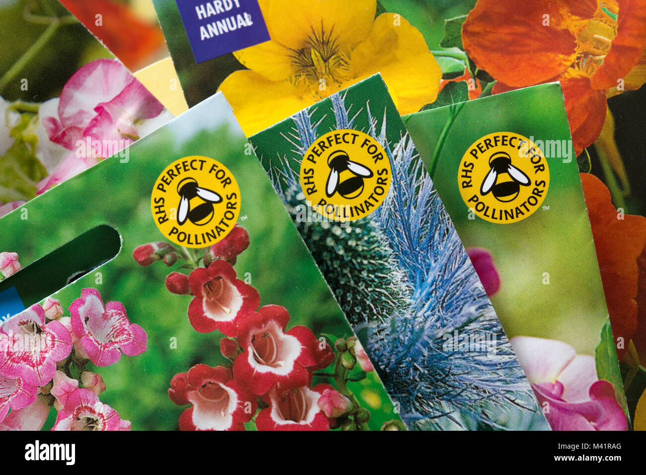Colourful seed packets displaying RHS perfect for pollinators bee-friendly logo UK Stock Photo