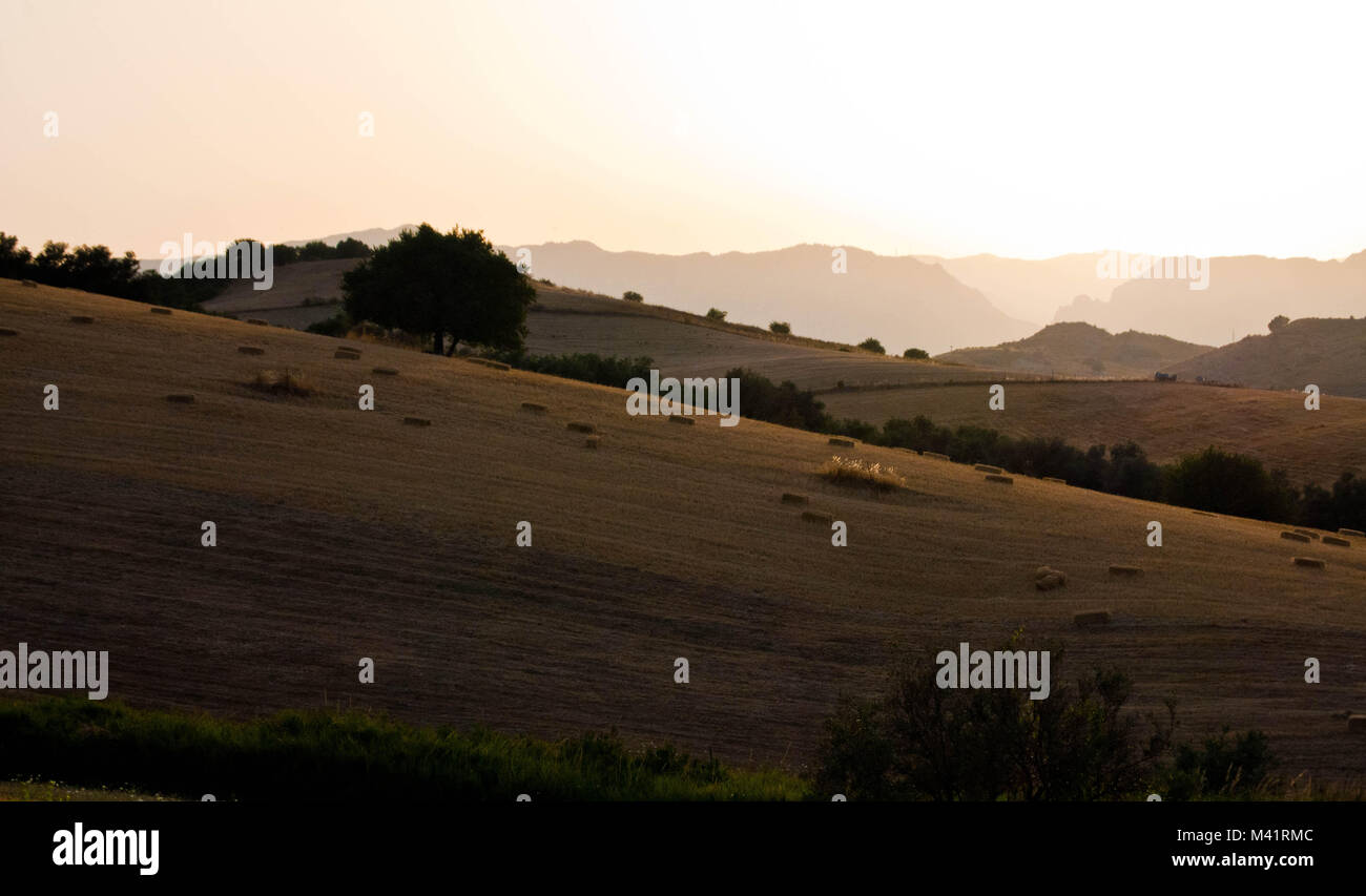 Golden hour picture hi-res stock photography and images - Alamy