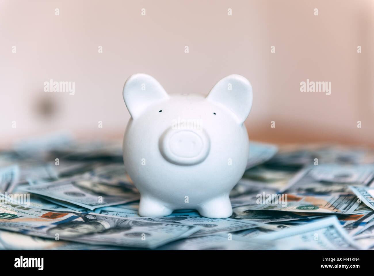 Piggy moneybox with dollar cash Stock Photo