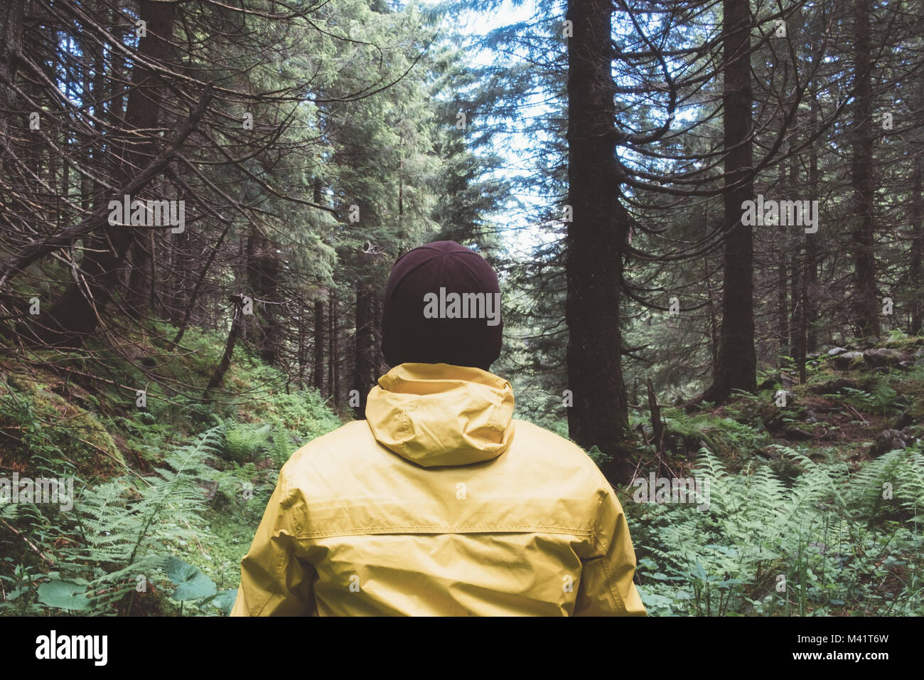 Man in yellow jaket in wild forest Stock Photo