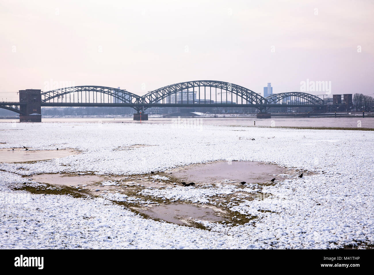 Europe, Germany, Cologne, view from the snowy Rhine meadows in the district Poll to the South bridge.  Europa, Deutschland, Koeln, Blick von den leich Stock Photo