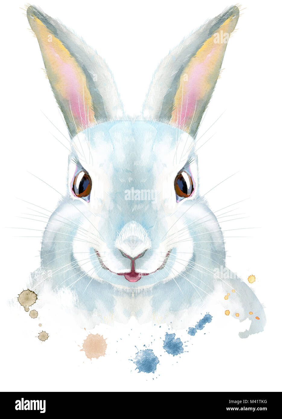 Watercolor illustration of a white rabbit Stock Photo - Alamy
