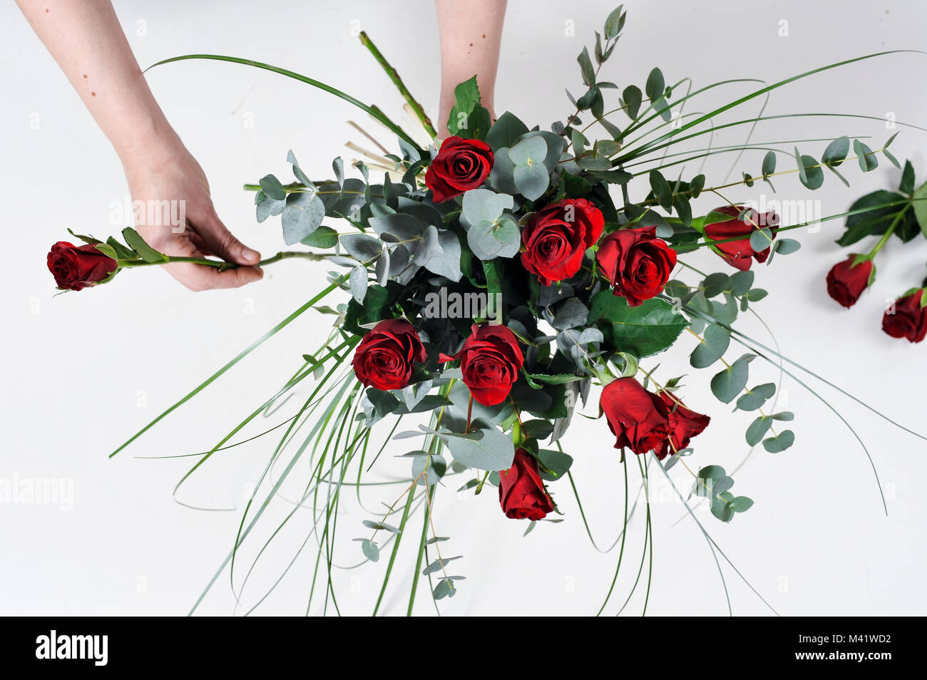 Buches of Flowers being arranged for a special occasion like valentines day. Woman trimming the stems of flowers after arranging them. Stock Photo